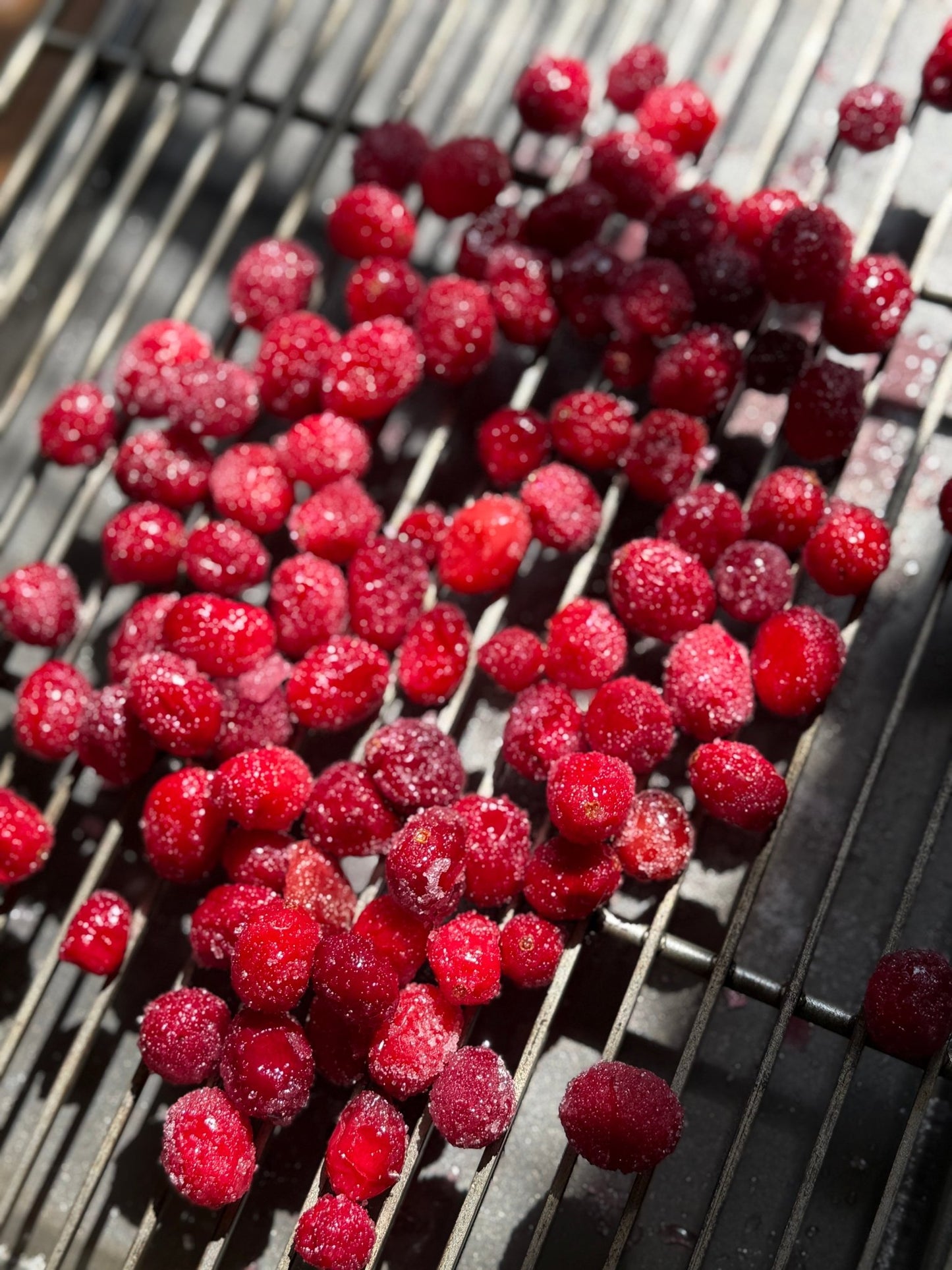 Sugared Cranberries - Bespoke Bar L.A.