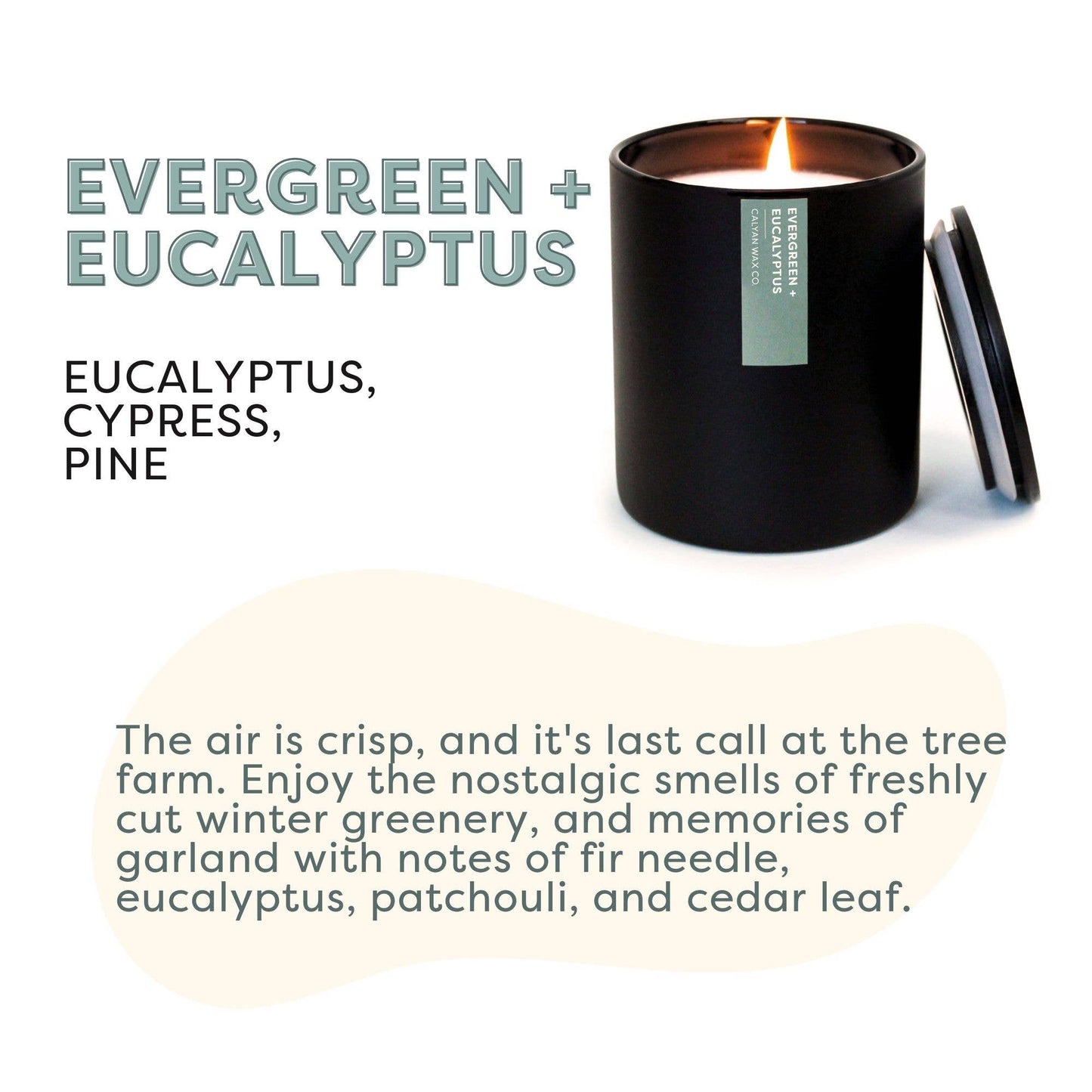 Evergreen + Eucalyptus Soy Candle - Bespoke Bar L.A.